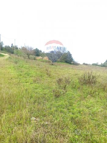 Terreno Edificabile - Caltagirone