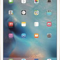 iPad Air 2 Tablet