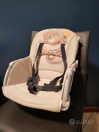 alzasedia Cam orsetto 