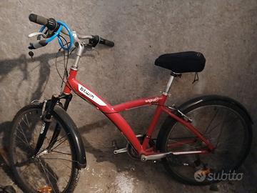 bici donna