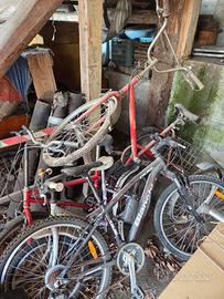 bicicletta biciclette