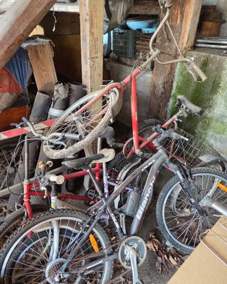 bicicletta biciclette