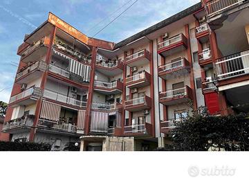 Tsmcv 233/2025 appartamento