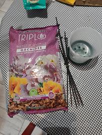 Terriccio e vaso per orchidee
