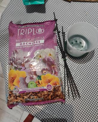 Terriccio e vaso per orchidee