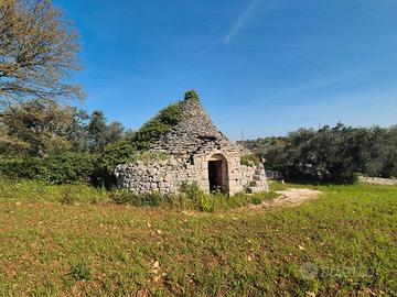 Trullo da ristrutturare con terreno di 7.880 mq