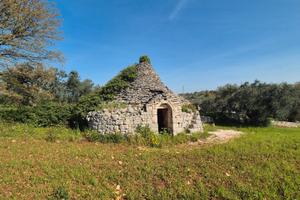 Trullo da ristrutturare con terreno di 7.880 mq