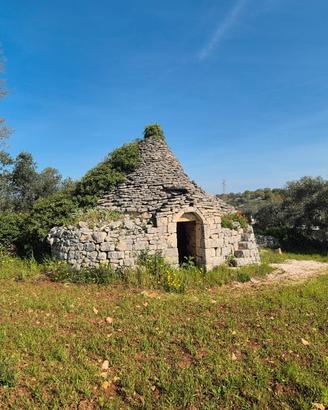 Trullo da ristrutturare con terreno di 7.880 mq