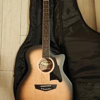 chitarra acustica elettrificata D'Angelico 