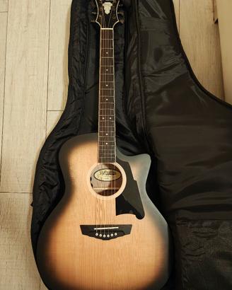 chitarra acustica elettrificata D'Angelico 
