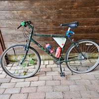 Mountain Bike Marin cambio Shimano telaio 45cm