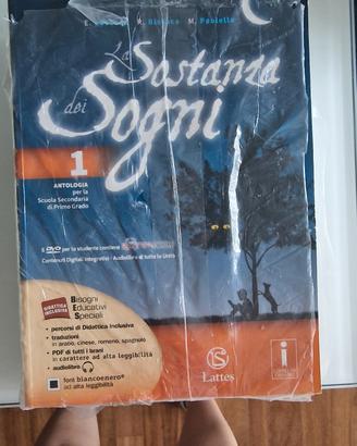 la sostanza dei sogni 1