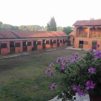 Pensione box cavalli