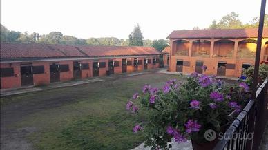 Pensione box cavalli