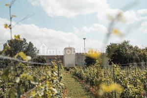 Azienda agricola / vinicola