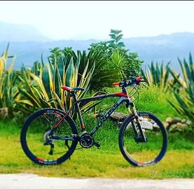 Bicicletta