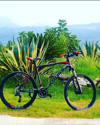Bicicletta