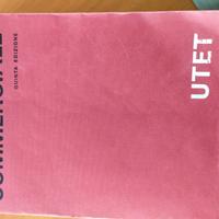 Diritto Commerciale Ferri