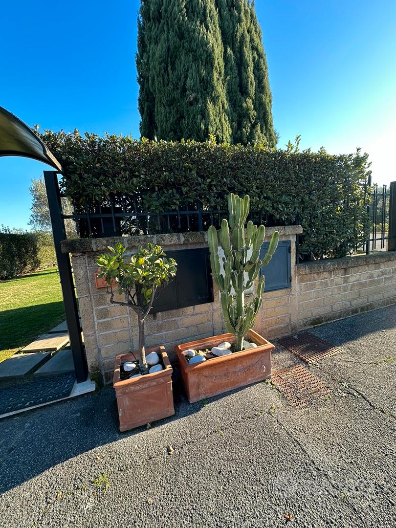 vasi di terracotta grandi - Giardino e Fai da te In vendita a Roma