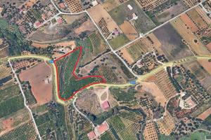 Terreno agricolo a Partinico, Contrada Spatafora