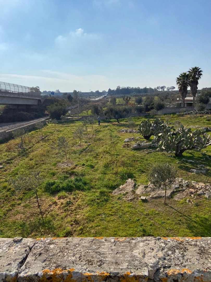 Terreno con casa rurale - Vista 4