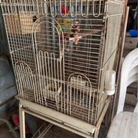 Gabbia per pappagalli inseparabili