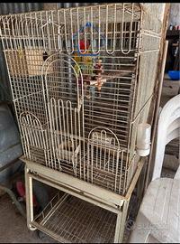 Gabbia per pappagalli inseparabili