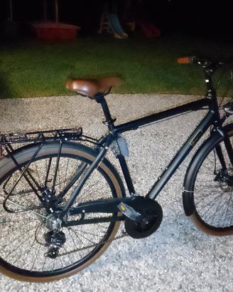 BICICLETTA UOMO ALPINA 