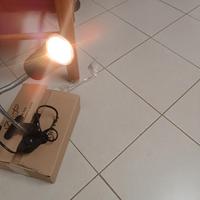 Lampada riscaldata adatta per semenzaio o altro