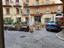 Immagine 6