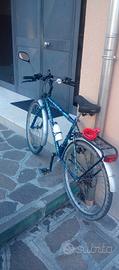 bici raggio 26