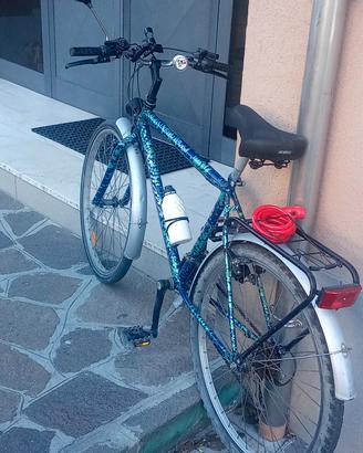 bici raggio 26