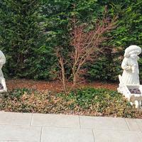 statue giardino
