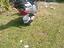 Immagine 2