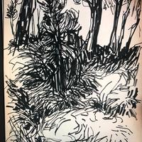 VINICIO BERTI, PIANETA DI VIAREGGIO, 1957