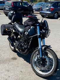 Benelli Leoncino 500 trail