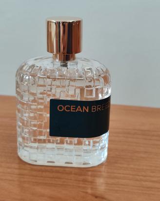 profumo Ocean Breeze di Extratto 100 ml