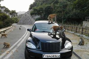 PT Cruiser CRD Limited Edition GF 1