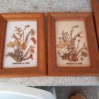 Antichi quadri con piante naturali