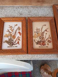 Antichi quadri con piante naturali