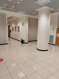 Locale Professionale 140 mq - 5 Vetrine -