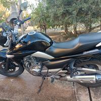 Suzuki Inazuma 250 Anno 2016