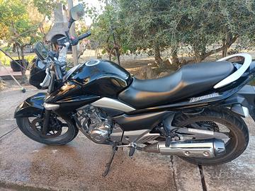 Suzuki Inazuma 250 Anno 2016