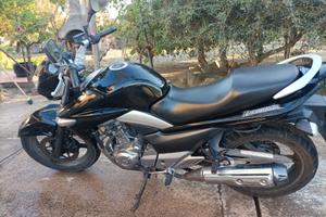 Suzuki Inazuma 250 Anno 2016