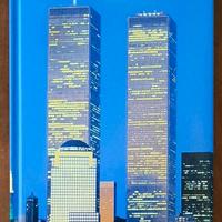 World Trade Center - I giganti che sfidavano ...