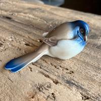 CINCIA PESSIMISTA ROYAL COPENHAGEN