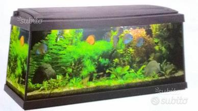 Materiale e supporti per acquario