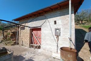 RUSTICO A OLEVANO ROMANO