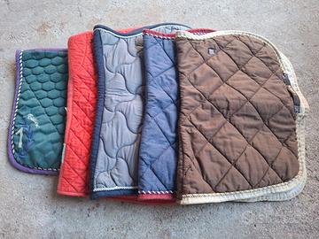 Sottosella cavalli  Tattini