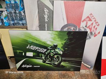 Stampa  Kawasaki Ninja 125 misure 120 x 80 cm